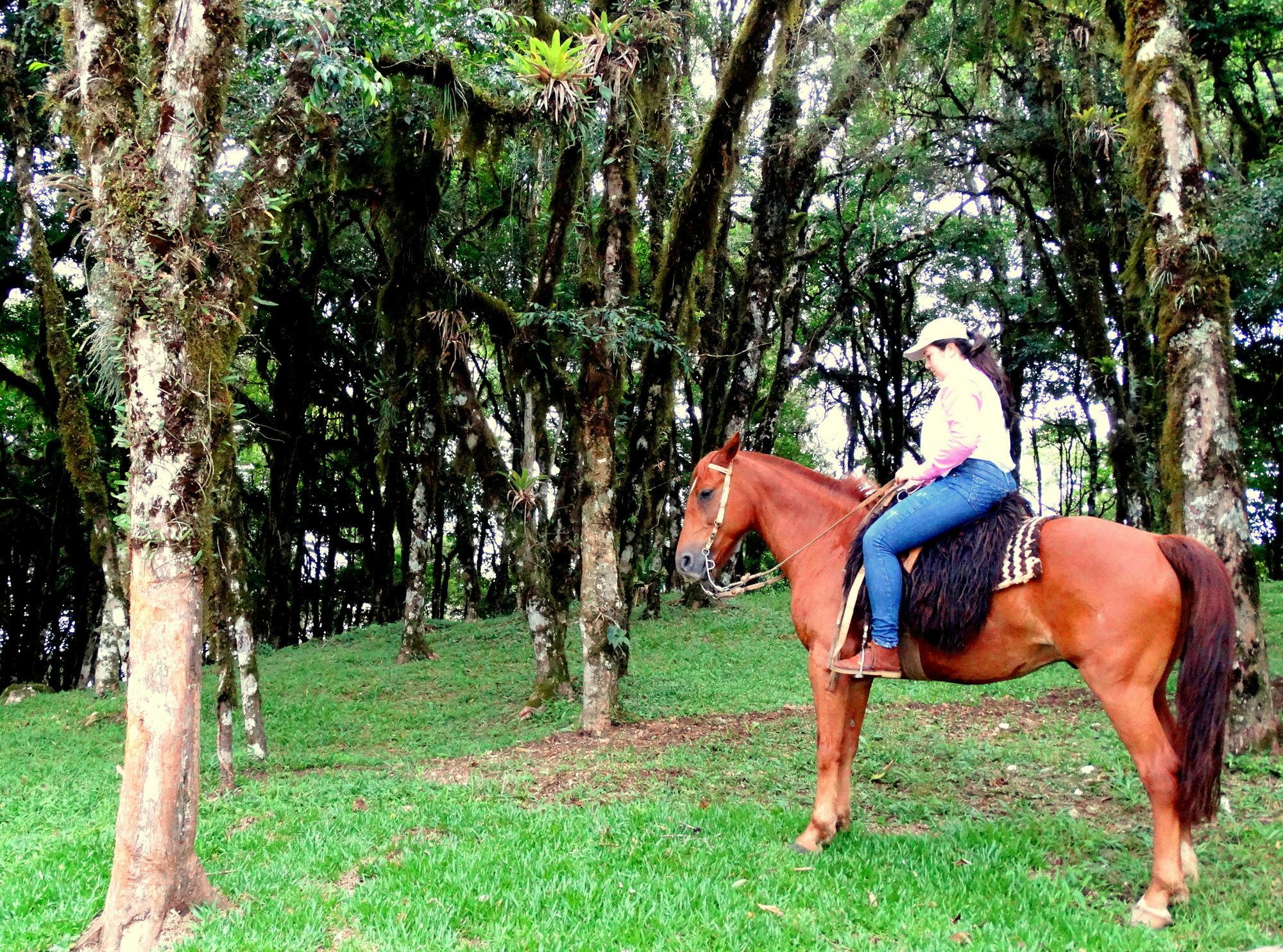 Pousada Chales Da Montanha Gramado Dış mekan fotoğraf